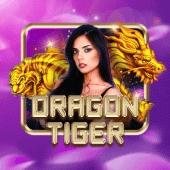 JILIBB casino live gaming interface on mobile app